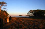 mukambi plains camp walking safari